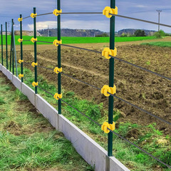 200-Pack T-Post Insulators, Short Wire Clips for 1.25/1.33 Posts, Yellow Std Fit