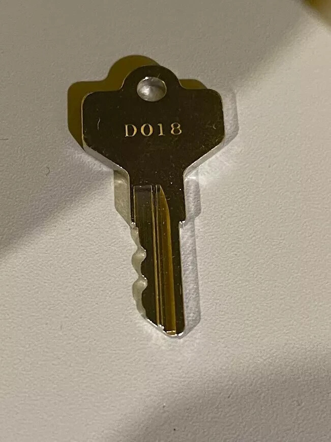 New! Allen Bradley OEM D018 Replacement Key for Cylinder Lock Selector Switches