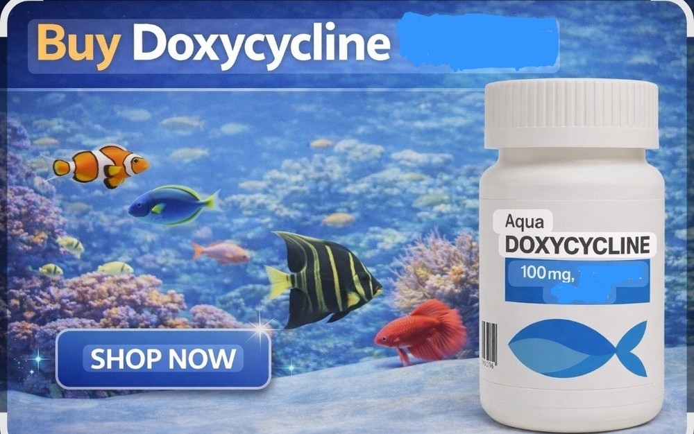 30 Capsules Doxycycline Hyclate 100mg OTC AQUATIC WATER TREATMENT