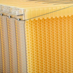 Improved 7 x Auto Beehive Frames Beekeeping Frames Bee Frames Beehive Frames