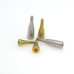 US Healing Cap Abutment RC NC Analog Cover Screw Titanium Fits Straumann ITI BLT
