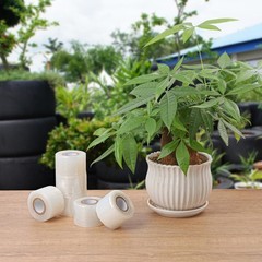 36 Pack 1.6 Inch Plants Grafting Tape, Grafting Film for Plant, Stretchable G…