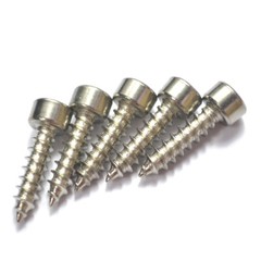 M2 M2.6 M3 M4 M5 M6 304 Stainless Steel Hex Socket Cap Head Self tapping Screws