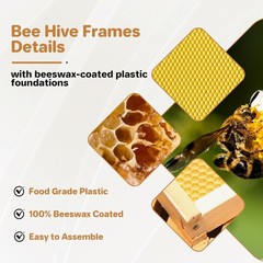 Langstroth Beehive 10 Wooden Frame Box Kit with Waxed Boxes, 2 Deep and 1 Medium