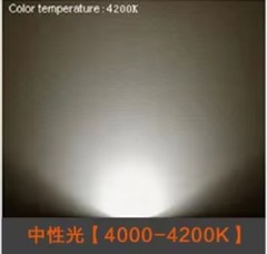 10PCS 360 Lumen Natural White 4000K High Power COB LED DC 3V DIY LED Flood Light