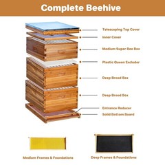 Langstroth Beehive 10 Wooden Frame Box Kit with Waxed Boxes, 2 Deep and 1 Medium
