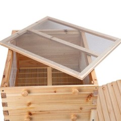 Auto Seep Bee Hives Boxes Langstroth Bee Hive HOUSE + 7x Bee Beekeeping Frames
