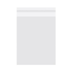 100 Count 10×13 Inch Clear Poly Bags Packaging Clothing Self Seal Cellophane
