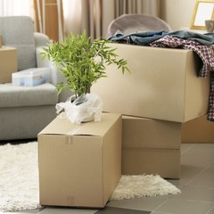 48 x 12 x 6″ Long Corrugated Boxes, ECT-32 Brown Shipping/Moving Boxes 20 Boxes