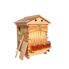 Auto Seep Bee Hives Boxes Langstroth Bee Hive HOUSE + 7x Bee Beekeeping Frames