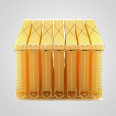 7PCS Auto Seeping Honey Bee Hives Beehive Frames +Cedarwood Beekeeping Brood Box