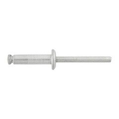 100 Pcs Peel-Type Aluminum Rivet 1/4 Diameter Compatible with Ford 389268-S100