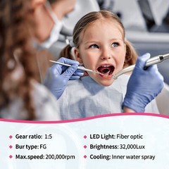 Dental Brushless LED Electric Micro Motor 1:1/1:5 Increasing Dental Handpiece US
