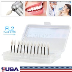 Dental LED High Speed Handpiece 2/4Holes /White Stone Polishing Burs FG