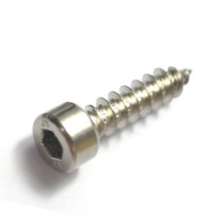 M2 M2.6 M3 M4 M5 M6 304 Stainless Steel Hex Socket Cap Head Self tapping Screws