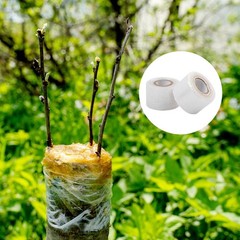36 Pack 1.6 Inch Plants Grafting Tape, Grafting Film for Plant, Stretchable G…