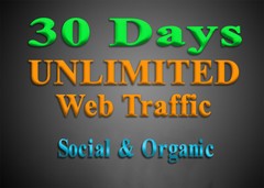 Organic & Social WEB TRAFFIC